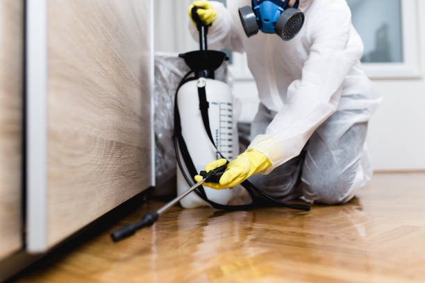 Professional Pest Control in Tiffin, OH