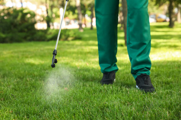 Best Termite Control Services  in Tiffin, OH