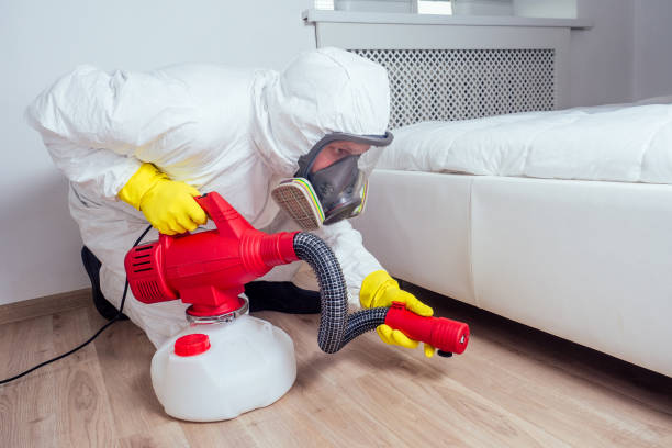 Best Termite Control Services  in Tiffin, OH