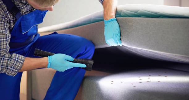 Best Emergency Pest Control  in Tiffin, OH