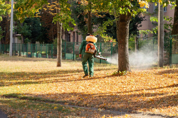 Best Flea Control Services  in Tiffin, OH