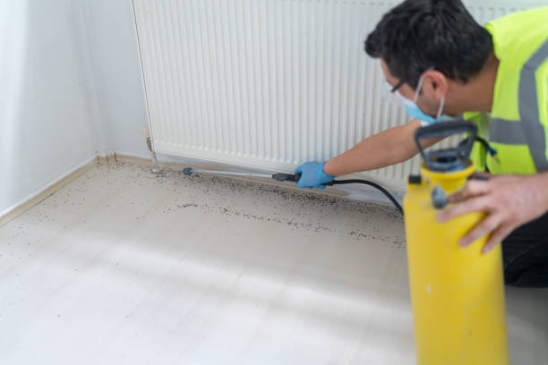 Best Affordable Pest Control Services  in Tiffin, OH